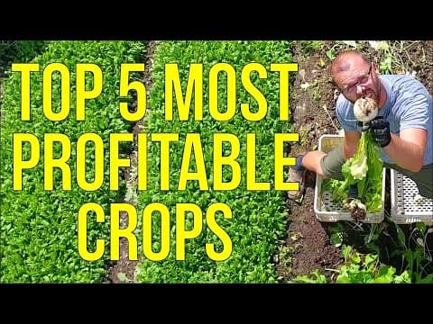 What to Grow to Make Money: A Farmer's Top 5 Most Profitable Crops