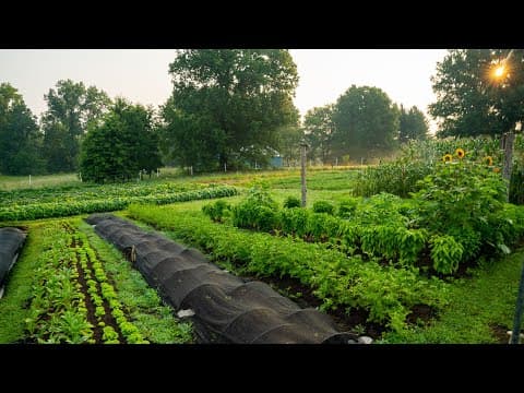 Regenerative Agriculture for the Small-Scale Grower: A Practical Guide
