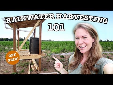 Rainwater Harvesting: 10 Pros and 7 Cons You Need to Know Before Starting