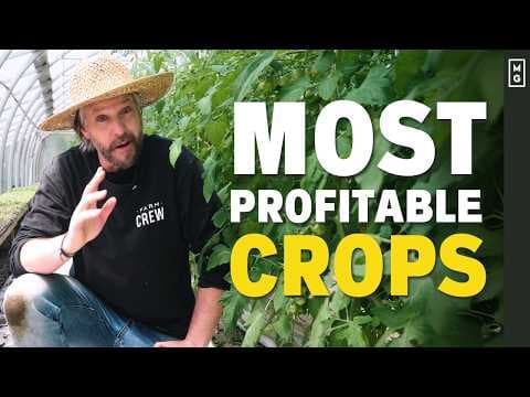 What to Grow to Make Money: 15 Most Profitable Crops for Farmers Markets