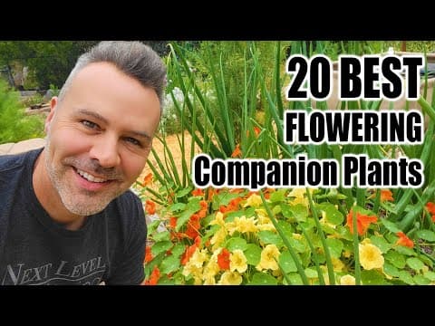 Companion Flowers: Your Vegetable Garden's Best Allies