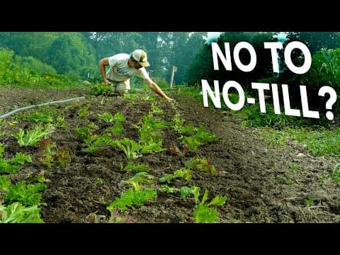Why Isn't Everyone Doing No-Till? A Nuanced Look at Adoption Barriers