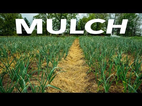 The Complete Guide to Mulches for Small-Scale Farming: Pros, Cons & How to Use Them