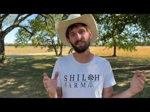 Raising Backyard Chickens for Fall and Winter: The Complete Seasonal Guide