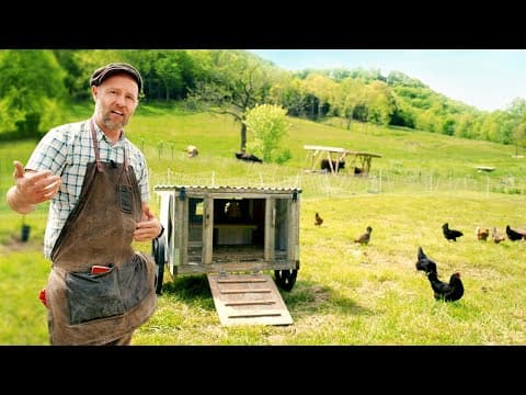 Raising Backyard Chickens: The Complete Beginner’s Guide
