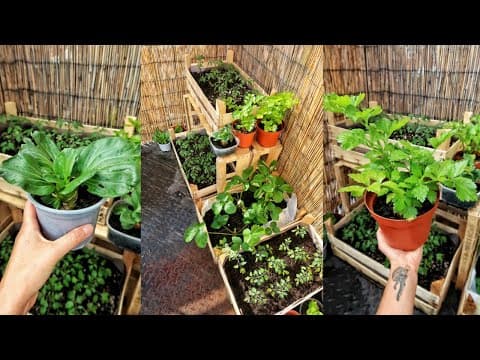The Zero-Waste Apartment Garden: A Beginner's Guide to Growing Food in Small Spaces