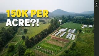 Can a Small Farm Be Profitable? The Financial Truth & A 5-Year Plan