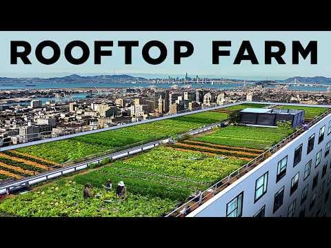 The Rooftop Farm Blueprint: How to Grow 20,000 lbs of Food on One Acre in the Sky