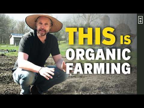 30 Organic Market Gardening Techniques for Maximum Efficiency