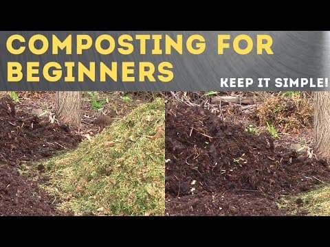 The Complete Guide to Making Compost: A Simple, Practical Tutorial