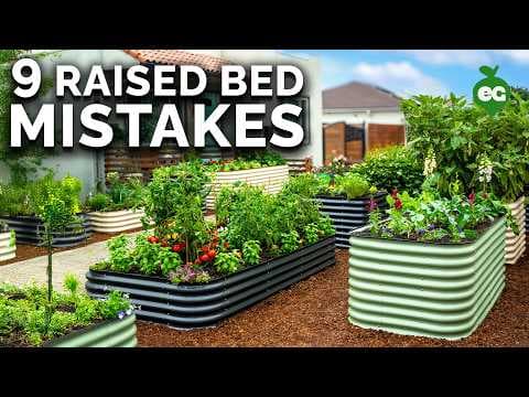 Raised Bed Gardening Mistakes: 9 Errors That Can Ruin Your Harvest