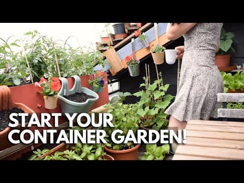 The Complete Beginner's Guide to Starting a Container Garden: 5 Simple Steps