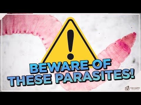 Internal Parasites in Chickens: Prevention, Identification, and Natural Remedies