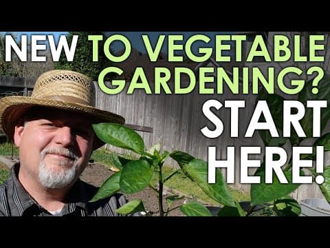 Beginner's Guide to Starting a Vegetable Garden: Your First Steps to Homegrown Food