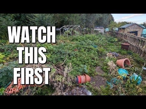 Before You Take on an Allotment: 5 Essential Reality Checks for New Growers