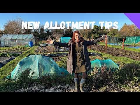 First Year Allotment Tips: Your Essential Starting Guide for New Plot Holders