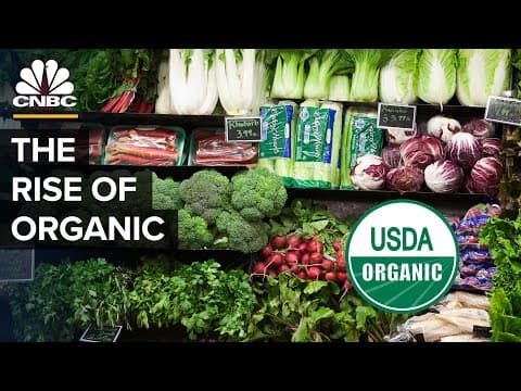 What Does 'Organic' Really Mean? A Complete Guide to USDA Organic Food