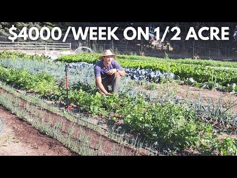How We Grow $44,000 of Food Per Week on Just Half an Acre