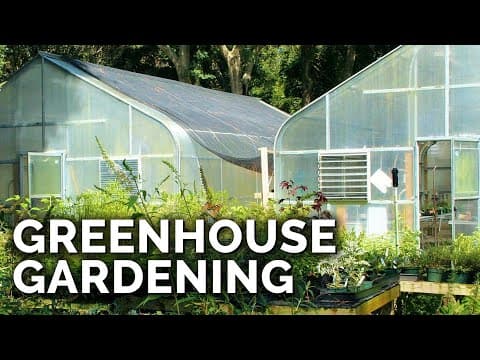 Greenhouse vs. Polytunnel: Which Is Right for Your Garden?