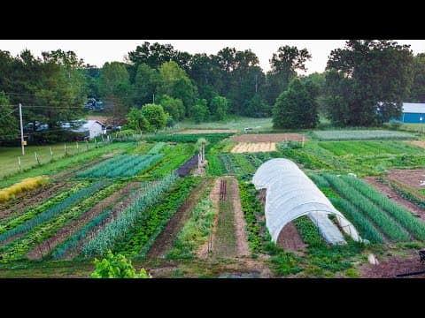 How to Start a Small Farm in 7 Practical Steps (Without Losing Your Shirt)