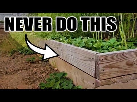 7 Raised Bed Gardening Mistakes Every Beginner Should Avoid