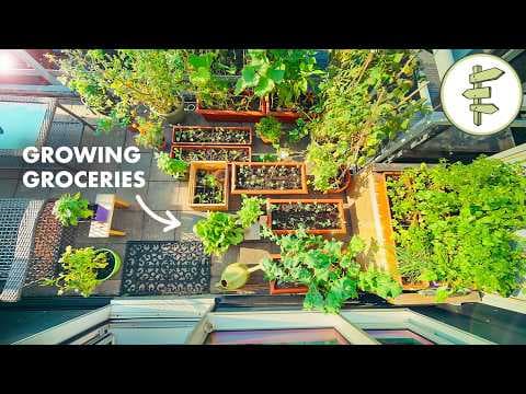 The Urban Balcony Garden: A Complete Guide to Growing Food in Small Spaces