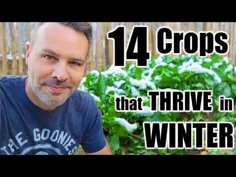 14 Cold-Hardy Crops for Your Winter Garden (With Temperature Guide)