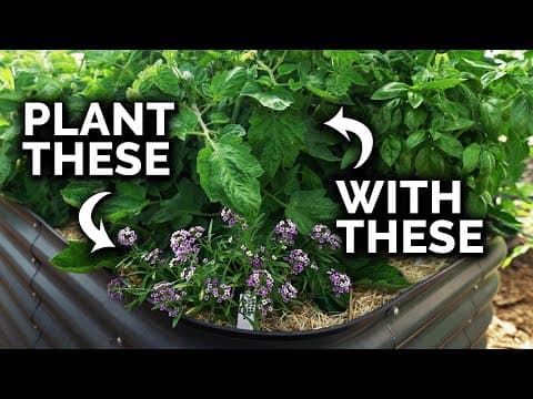 The Science of Companion Planting: Counterintuitive Combos That Work