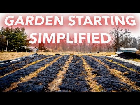 How to Start a No-Till Garden: A Beginner's Step-by-Step Guide