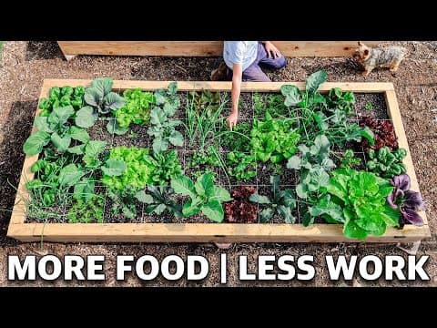 Square Foot Gardening for Beginners: Maximize Your Harvest in Small Spaces